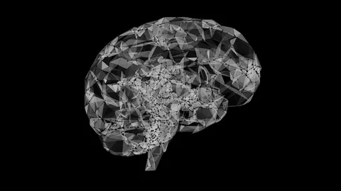 Brain Stock Footage 89871714