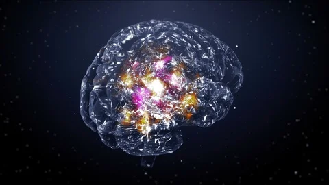 Brain Stock Footage 116178753