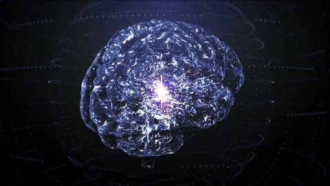 Brain Stock Footage 116178985