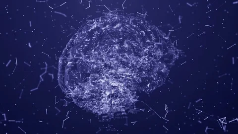 Brain Stock Footage 116617267