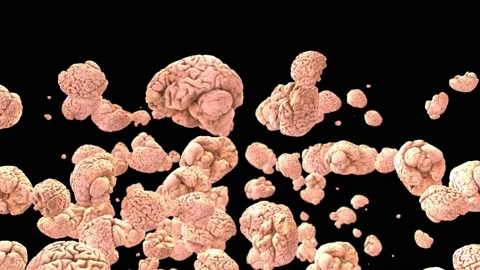 Brain 스톡 동영상 146730990