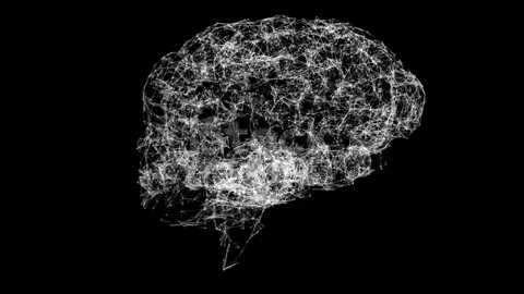 Brain Stock Footage 223171918