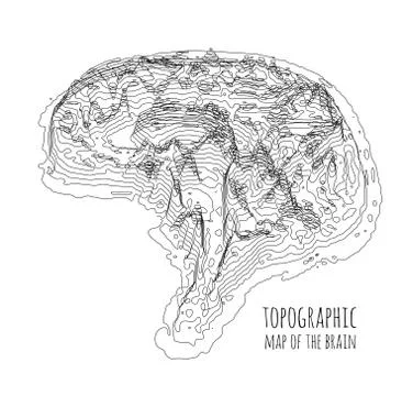 The brain in the form of a topographic map. The concept of modern technology Stock Illustration