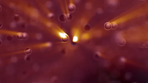 Brain is formed of particles Stock Footage 41800364