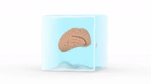 Brain Frozen in a Block of Ice Stock Footage 49586035