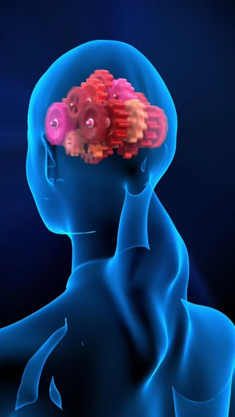 Brain function shown as a mechanism Stock Footage 310323807