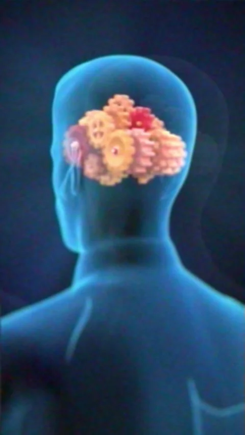 Brain function shown as a mechanism 動画素材 310323814