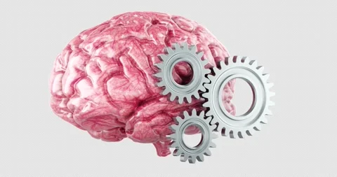 Brain with gears rotation animation seamlessly loopable. 3D rendering isola.. Stock Footage 334610954