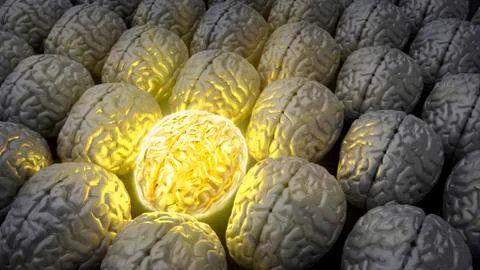 Brain genius Stock Illustration