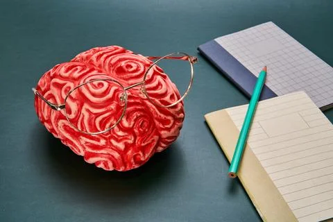 A Brain with glasses studying. Stock Photos