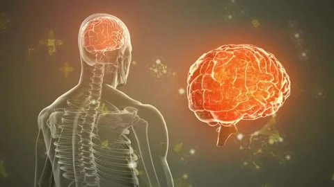 Brain glowing causing skeleton model rotating clockwise showcasing brain view Stock Footage 329565707