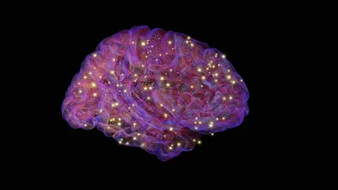 Brain with glowing particles of light increasing . 3d animation rendering Stock Footage 145867211