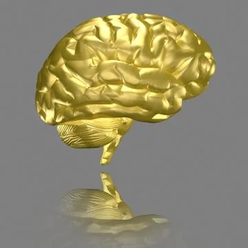 Brain - gold Stock Illustration