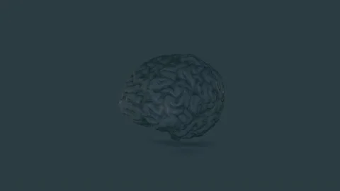 Brain gray Video stock 154473134