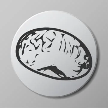 Brain grey vector icon on round button with shadow Stock Illustration