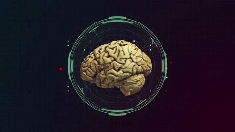 Brain Grid Stock Footage 146729565