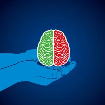 Brain in hand with two color vector Stock Illustration