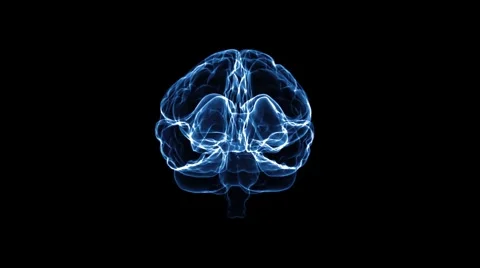 Brain HD rotate Stock Footage