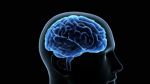 Brain Head 19 1 A1bA3 4k Stock Footage 108974529