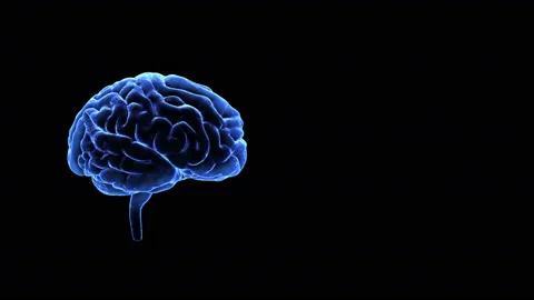 Brain Head 19 1 A2bA1 4k Vídeos de archivo 108930946