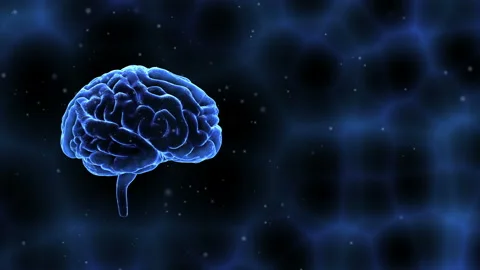 Brain Head 19 1 A2bC 4k Видео 108934184