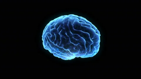 Brain Head 19 1 B1bA2 4k Stock Footage 108976562