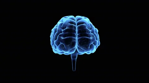 Brain Head 19 1 C1bA1 4k Vídeos de archivo 108931728