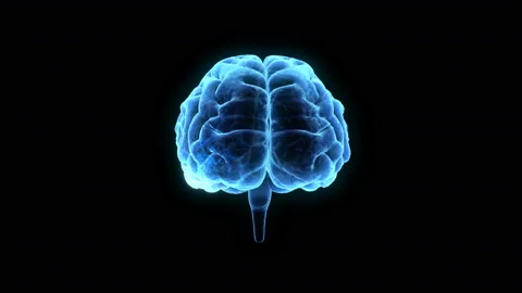 Brain Head 19 1 C1bA2 4k Stock Footage 108977750