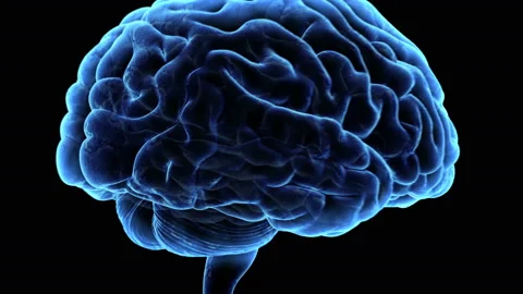 Brain Head 19 1 D1bA1 4k Stock-Footage 108932265