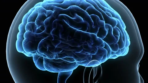 Brain Head 19 1 D1bA3 4k Vidéo 108979388