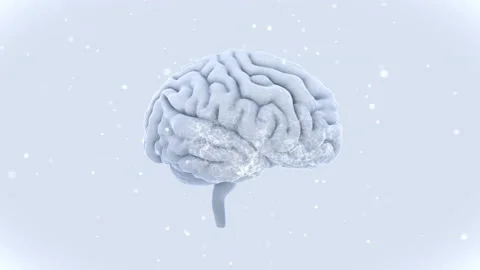 Brain Head 19 2 A1bW 4k Video stock 109579235