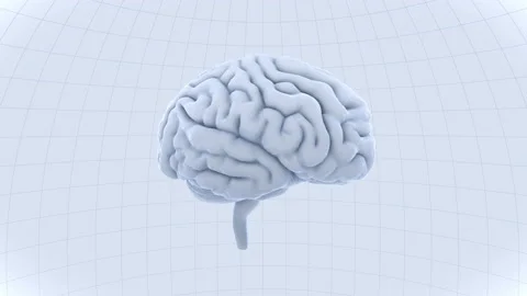 Brain Head 19 2 A1dW 4k Stock Footage 109582037