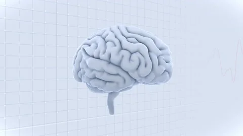 Brain Head 19 2 A1gW 4k Vídeos de archivo 109535013