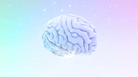 Brain Head 19 2 B1bW 4k Vidéo 109540973