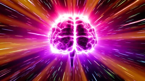 Brain Head 19 2 C1bD 4k Видео 109556794