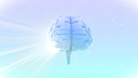 Brain Head 19 2 C1bW 4k Stock-Footage 109552688