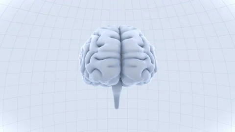 Brain Head 19 2 C1dW 4k Stock Footage 109557567