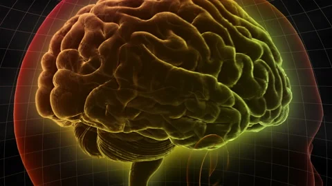 Brain Head 19 2 D1dD 4k Vídeos de archivo 109573042