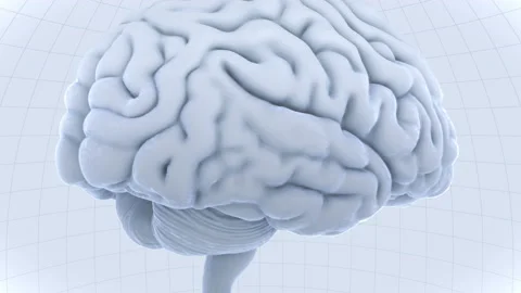 Brain Head 19 2 D1dW 4k Vídeos de archivo 109571511