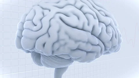 Brain Head 19 2 D1gW 4k Stock-Footage 109576330
