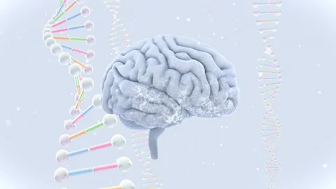 Brain Head 19 3 DNA A1bW 4k Stock Footage 111783825
