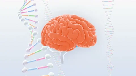 Brain Head 19 3 DNA A1bS2 4k Video stock 111786118