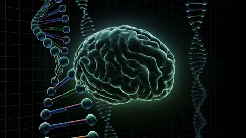 Brain Head 19 3 DNA B1gD 4k Video stock 111793408