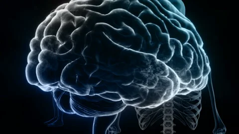 Brain Head 19 3 Medical D1bB 4k Stock Footage 111829678