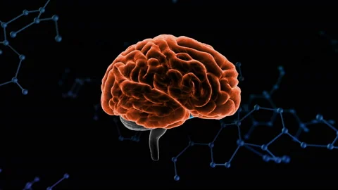 Brain Head 19 3 Molecular A1bA5 4k Stock Footage 111830649