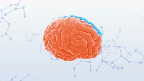 Brain Head 19 3 Molecular B1bS2 4k Video stock 111836863