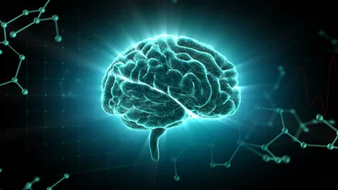 Brain Head 19 3 Molecular A1gD 4k Stock Footage 111837039