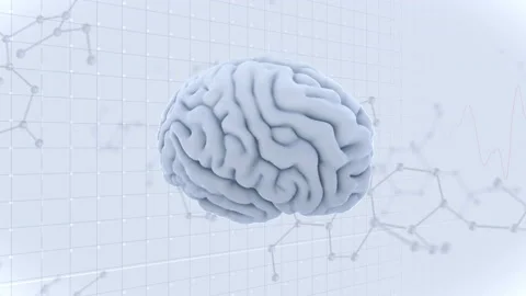 Brain Head 19 3 Molecular B1gW 4k Stock Footage 111839087