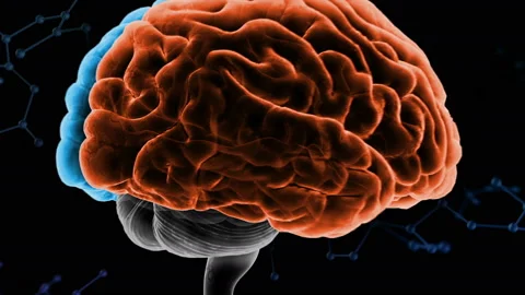 Brain Head 19 3 Molecular D1bA5 4k Stock Footage 111843217