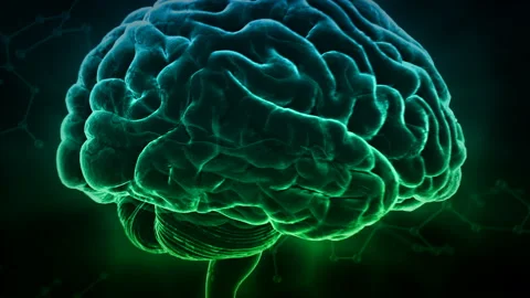 Brain Head 19 3 Molecular D1bD 4k Stock Footage 111844965
